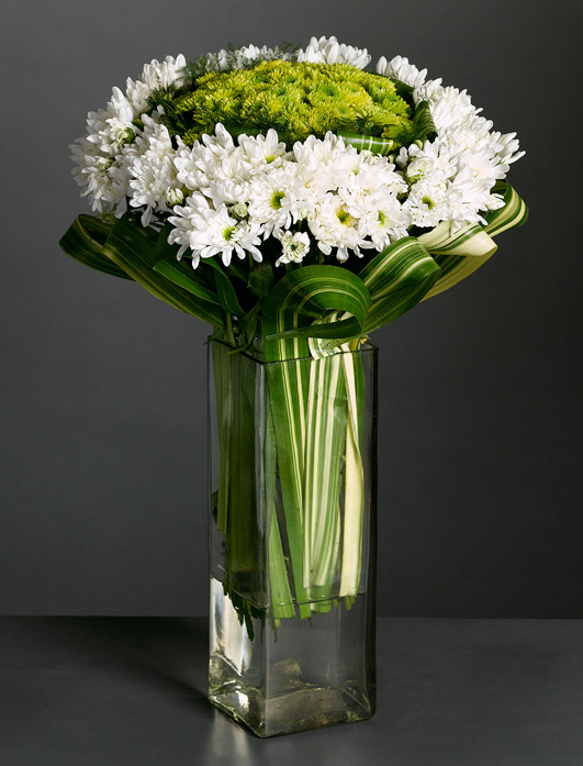 Creamy chrysanthemums set off by green tropic leaves