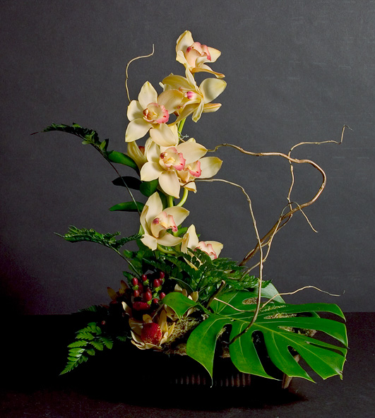 Elegant Cymbidium Orchids