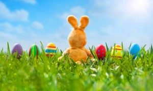 Easter-Bunny-Easter-Egg
