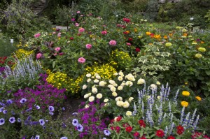 munich botanical-garden-shrubs_medium