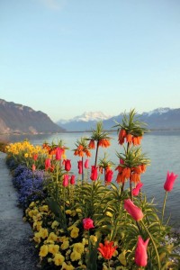 Tropical flower walk around lake Geneva Switzerland17 Days in Switzerland and Italy (3) - Montreux, Switzerland