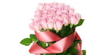 pink-beautiful-flowers3