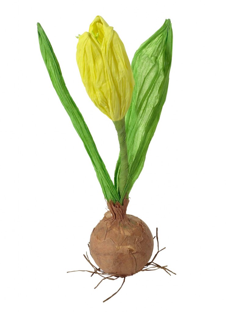 Tulip-bulbs-once-were-more-valuable-than-gold