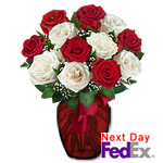 One Dozen Long Stem Red & White Roses