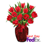 12 Red TulipsSale! $5 off