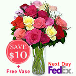 18 Mixed Mini RosesSale! $10 off