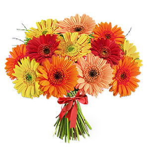 Cheap Flowers on Cheap Flowers To Australia  Cheap Flower Delivery Australia  Cheap