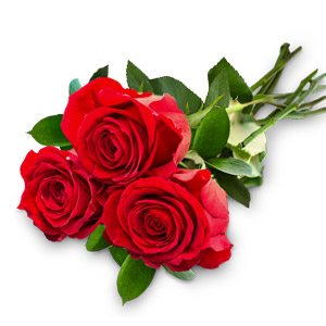 Lotsa Love - 3 Red Roses Bouquet