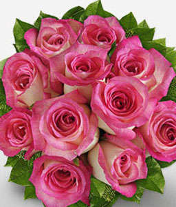 Royal Beauty - 11 Pink Roses