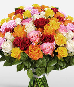 50 Mixed Colored Roses