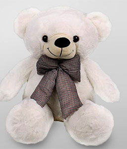 Cuddly Teddy 60cms