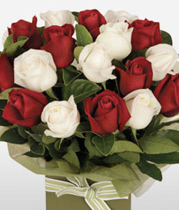 Romantico - 18 Red & White Roses