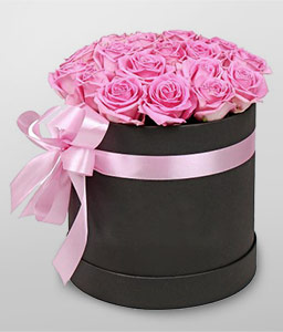 Pure Pink Roses in a Box