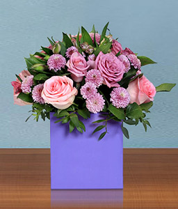 Purple and Pink - Arrangement in Box