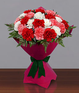 Carnation Carnival <Br><span>Mixed Color Carnations</span>