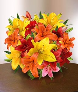 Vibrant Mixed Asiatic Lilies