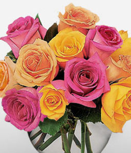 Rosy Glow<span> 12 Mixed Roses & Complimentary Vase</span>