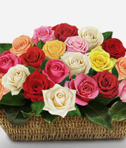 Arco Iris <Br><span>15 Mixed Roses</span>