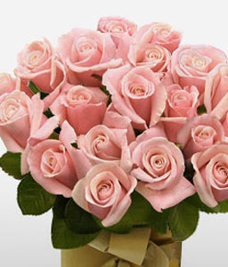 Imponente Majesty <Br><span>18 Pink Roses</span>