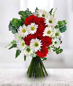 Runway Sucesso - Red Roses & White Daisies 