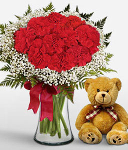 Bella Sweetheart - Red Carnations + Teddy