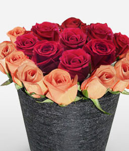 Crimson Sunset - 18 Mixed Roses in Vase