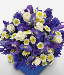 Australia Flower Delivery on Send Flowers Australia   Australia Florist   Nationwide Delivery