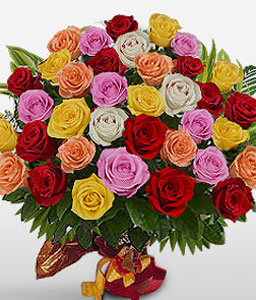 Majestic Beauty - 36 Mixed Roses