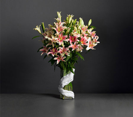 Oriental Lilium<br>Pink<br>Orange<br><span>Free Vase</span>