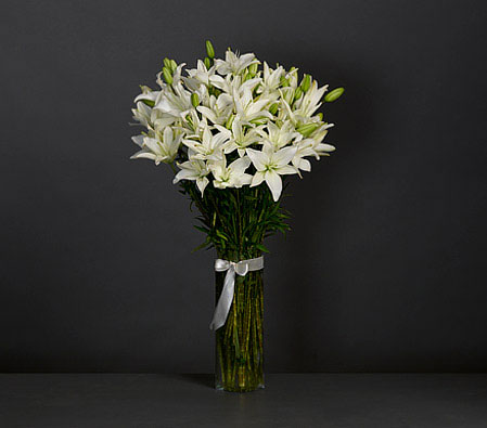 Asiatic Lilium<br>White<br><span>Free Vase</span>
