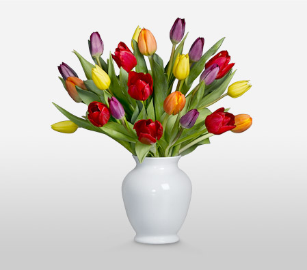 Coleurs De La Vie <Br><span>Mixed Tulips - Sale 35% Off</span>