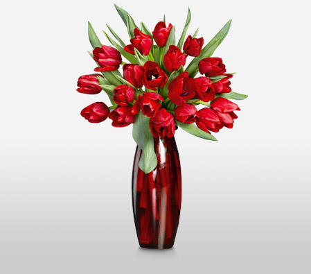 Rapturous Reds <Br><span>Red Tulips - Sale 50% Off</span>