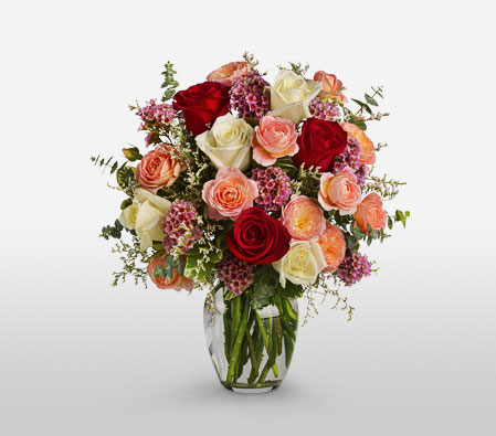 Colours Of Dusk-Mixed,Peach,Red,White,Rose,Arrangement