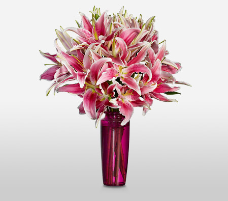 Classic Pink Lilies <Br><span>Complimentary Pink Vase </span>