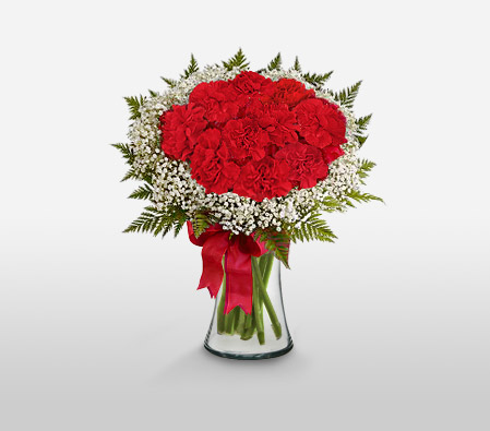 Sweetheart<Br><span>Dozen Red Carnations</span>
