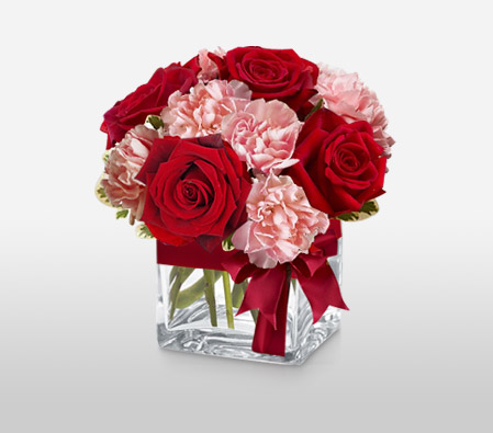 Jaime<Br><span>Red Roses and Pink Carnations Arrangement</span>