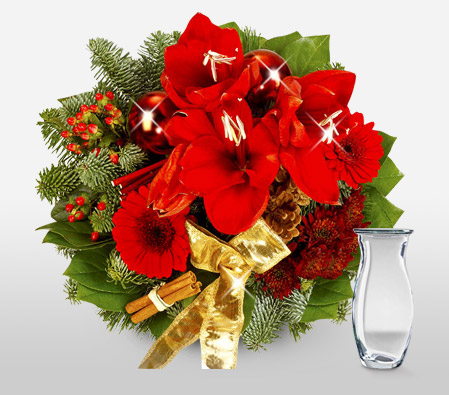 Bouquet Winterfreude <br><span>Free Vase</span>