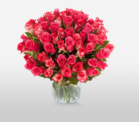 Passionate Pink <span>40 Pink Roses <Br>Sale $15 Off </span>