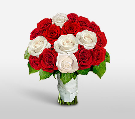 Festive Surprise <Br><span>One Dozen Roses</span>