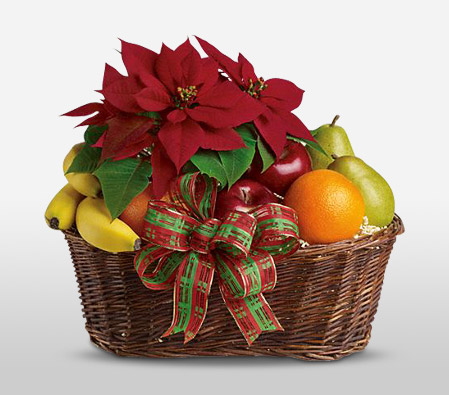 Fruity Christmas Basket