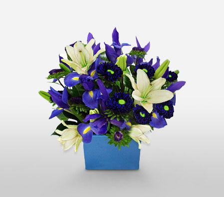 Boy O Boy-Blue,White,Chrysanthemum,Lily,Arrangement