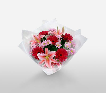 Baby Pink-Pink,Red,Gerbera,Lily,Bouquet