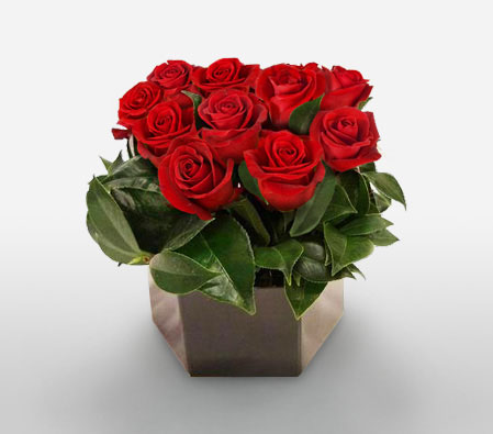 Tender Temptations<Br><span>Red Roses in a Box</span>