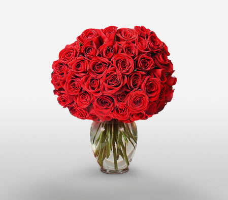 Scarlet Sophistication <Br><span>50 Long Stem Roses</span>