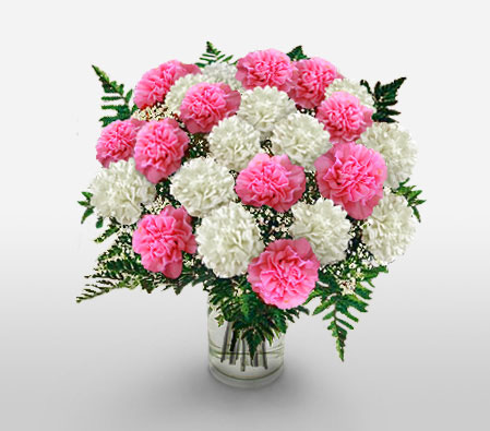 MOMentous-Pink,White,Carnation,Bouquet