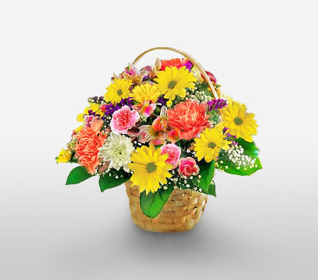 Superwomen Surprise-Mixed,Orange,Pink,Yellow,Mixed Flower,Gerbera,Chrysanthemum,Carnation,Alstroemeria,Arrangement,Basket