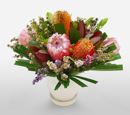 Wild Tasmania-Mixed,Mixed Flower,Arrangement