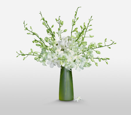 Hanalei Bay <Br><span>Complimentary Green Frosted Vase </span>