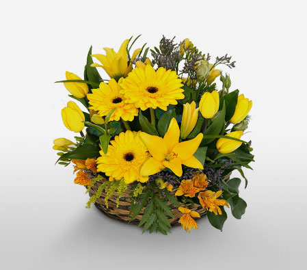 Myrtos Dazzle-Green,Yellow,Gerbera,Lily,Arrangement,Basket