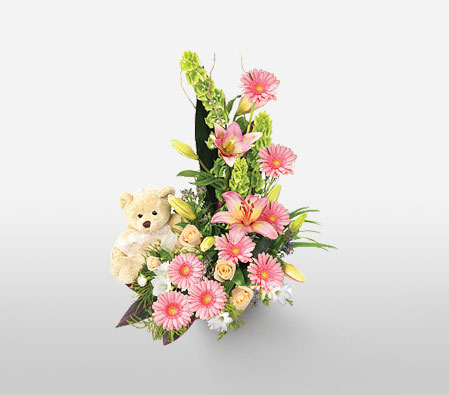 Cuddly Blooms-Pink,Teddy,Lily,Gerbera,Daisy,Arrangement